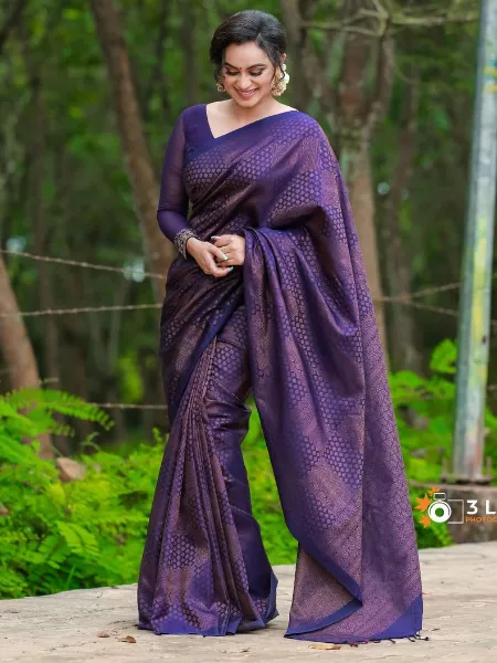 Blue Stylish Pattern Saree in Banarasi Silk Fabric With Blouse