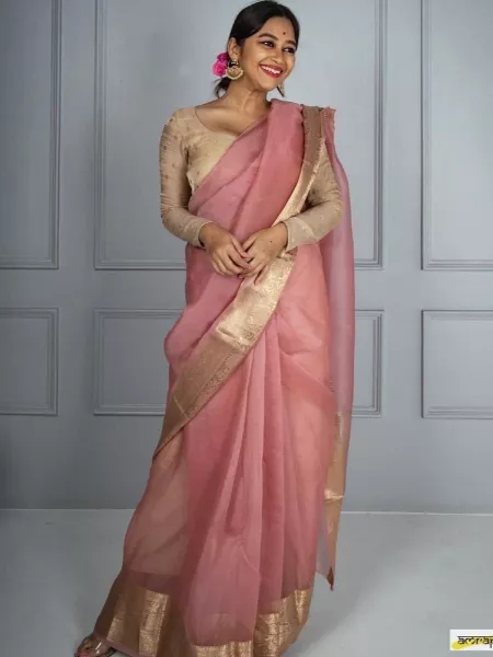 Onion Color Nylon Organza Jacquard Work Saree for Women Wedding Wear and Party