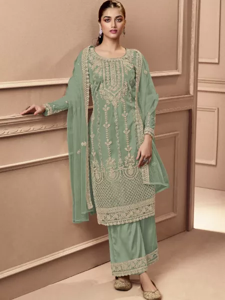 Pista Color Heavy Butterfly Net Salwar Kameez With Embroidery Coding Work