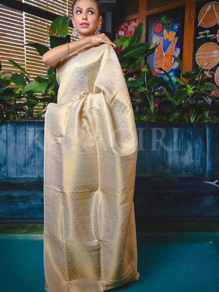 White Soft Kanjivaram Silk Saree With Blouse Dream Wedding Look Indian Saree