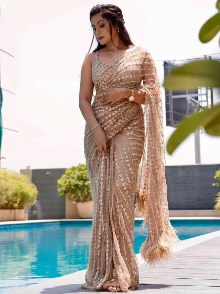 Beige Color Sequence Saree in Mono Net With Blouse