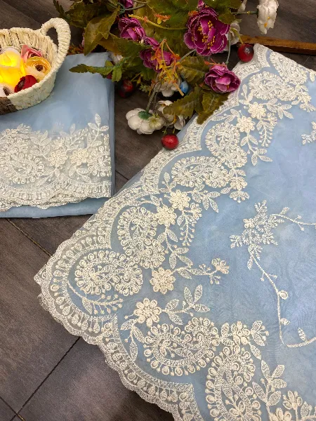 Sky Blue Color Organza Saree With Beautiful Cotton Thread Embroidery Work