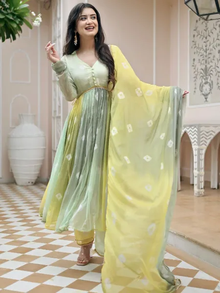 Multi Color Anarkali Gown With Beautiful Digital Print and Full Sleeve