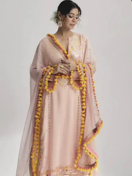 Light Pink Georgette 3 Piece Dress With Embroidery Work Indian